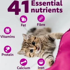Whiskas Ocean Fish Dry Food For Kitten (2-12 Months)