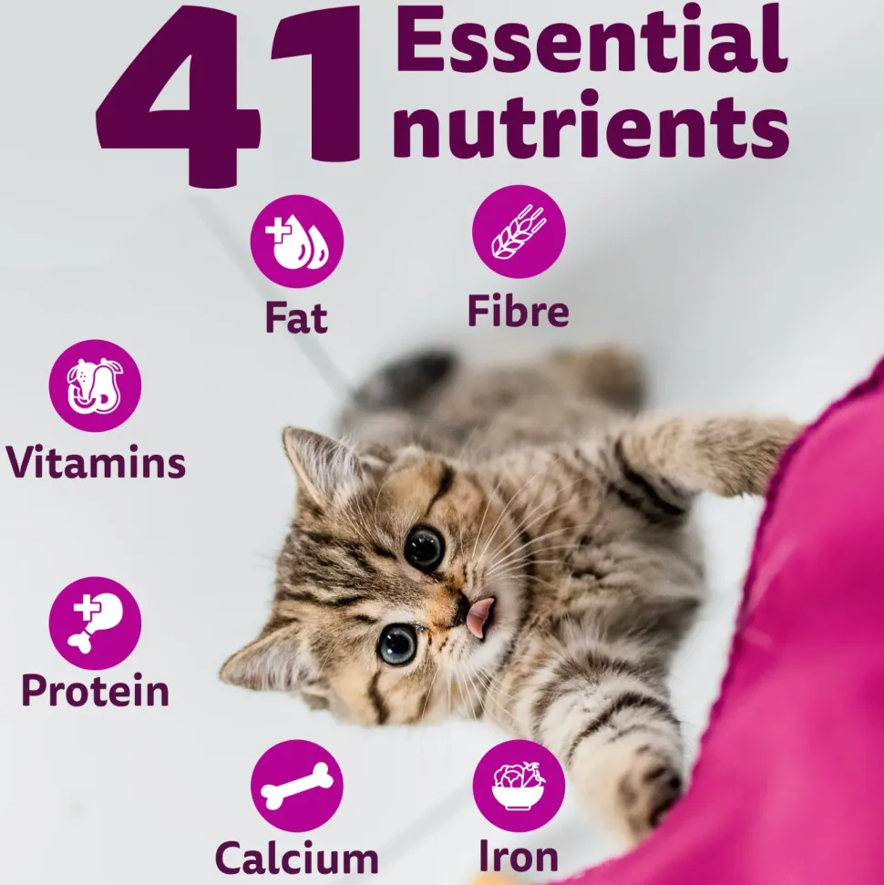 Whiskas Ocean Fish Dry Food For Kitten (2-12 Months)