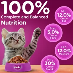 Whiskas Ocean Fish Dry Food For Kitten (2-12 Months)