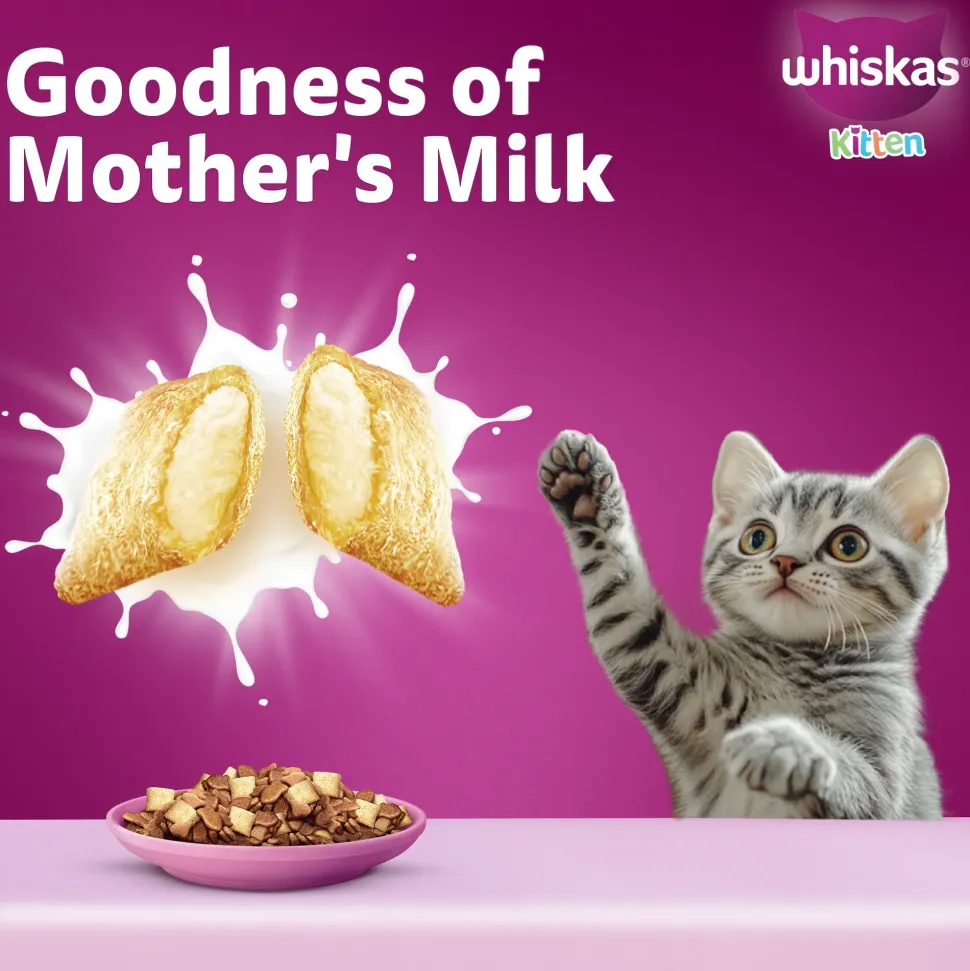 Whiskas Ocean Fish Dry Food For Kitten (2-12 Months)