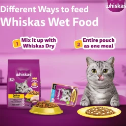 Whiskas Ocean Fish Wet Food For Adult Cat - 80 gm Pack