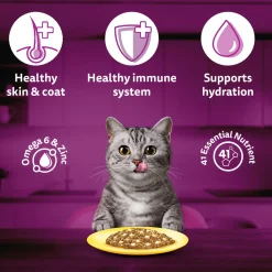 Whiskas Ocean Fish Wet Food For Adult Cat - 80 gm Pack