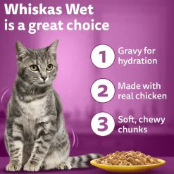 Whiskas Ocean Fish Wet Food For Adult Cat - 80 gm Pack