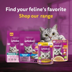 Whiskas Tasty Mix Adult (1+ year) Chicken With Tuna & Carrot in Gravy Wet Cat Food - 70 gm Pack