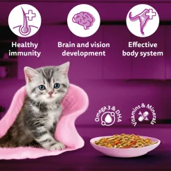 Whiskas Tasty Mix Seafood Cocktail With Carrot In Gravy Wet Food For Junior (2-12 Months) Kitten- 70 gm Pack