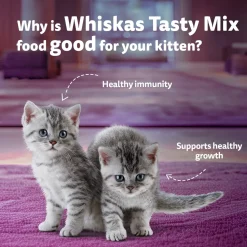 Whiskas Tasty Mix Seafood Cocktail With Carrot In Gravy Wet Food For Junior (2-12 Months) Kitten- 70 gm Pack