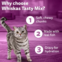 Whiskas Tasty Mix Wet Food Made With Real Fish (Seafood Cocktail & Wakame Seaweed) in Gravy For Adult (1+ year) Cat - 70 gm Pack
