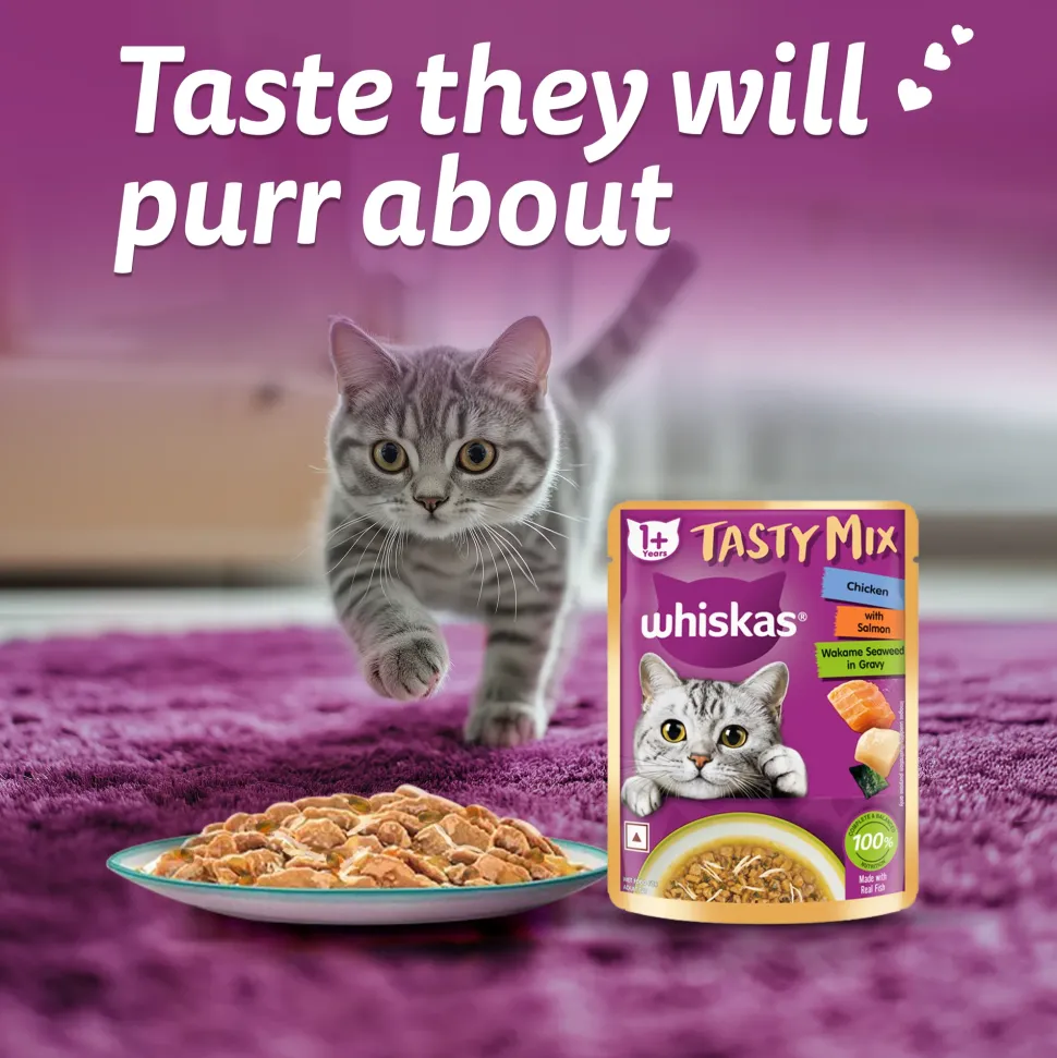 Whiskas Tasty Mix Wet Food Made With Real Fish (Salmon & Wakame Seaweed) With Chicken in Gravy For Adult (1+ year) Cat - 70 gm Pack