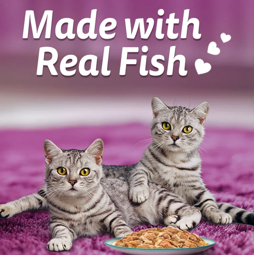 Whiskas Tasty Mix Wet Food Made With Real Fish (Salmon & Wakame Seaweed) With Chicken in Gravy For Adult (1+ year) Cat - 70 gm Pack