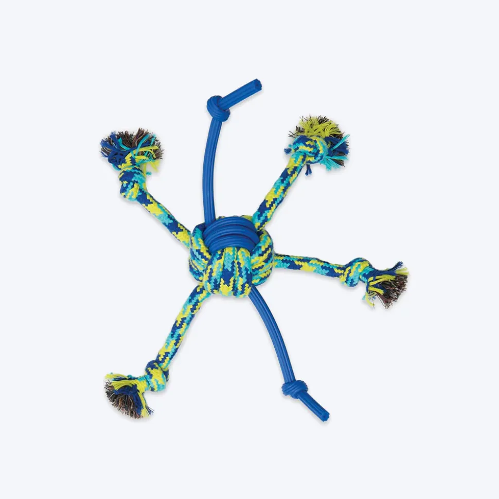 Zeus Fitness Rope & TPR Spider Ball Fetch Dog Toy - Green/Blue
