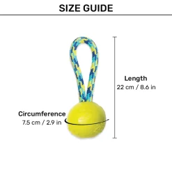 Zeus Fitness TPR & Rope Ball Tug Fetch Dog Toy - Green/Blue