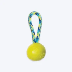 Zeus Fitness TPR & Rope Ball Tug Fetch Dog Toy - Green/Blue