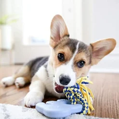 Zippy Paws Elliot The Elephant ZippyTuff Teether Chew Toy For Dog - Blue